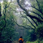 Anaga-fjellene på Tenerife