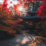 En gazebo i Kyoto i Japan på høsten