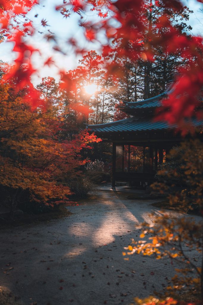 De beste hotellene i Japan: luksus, kultur og komfort i perfekt harmoni