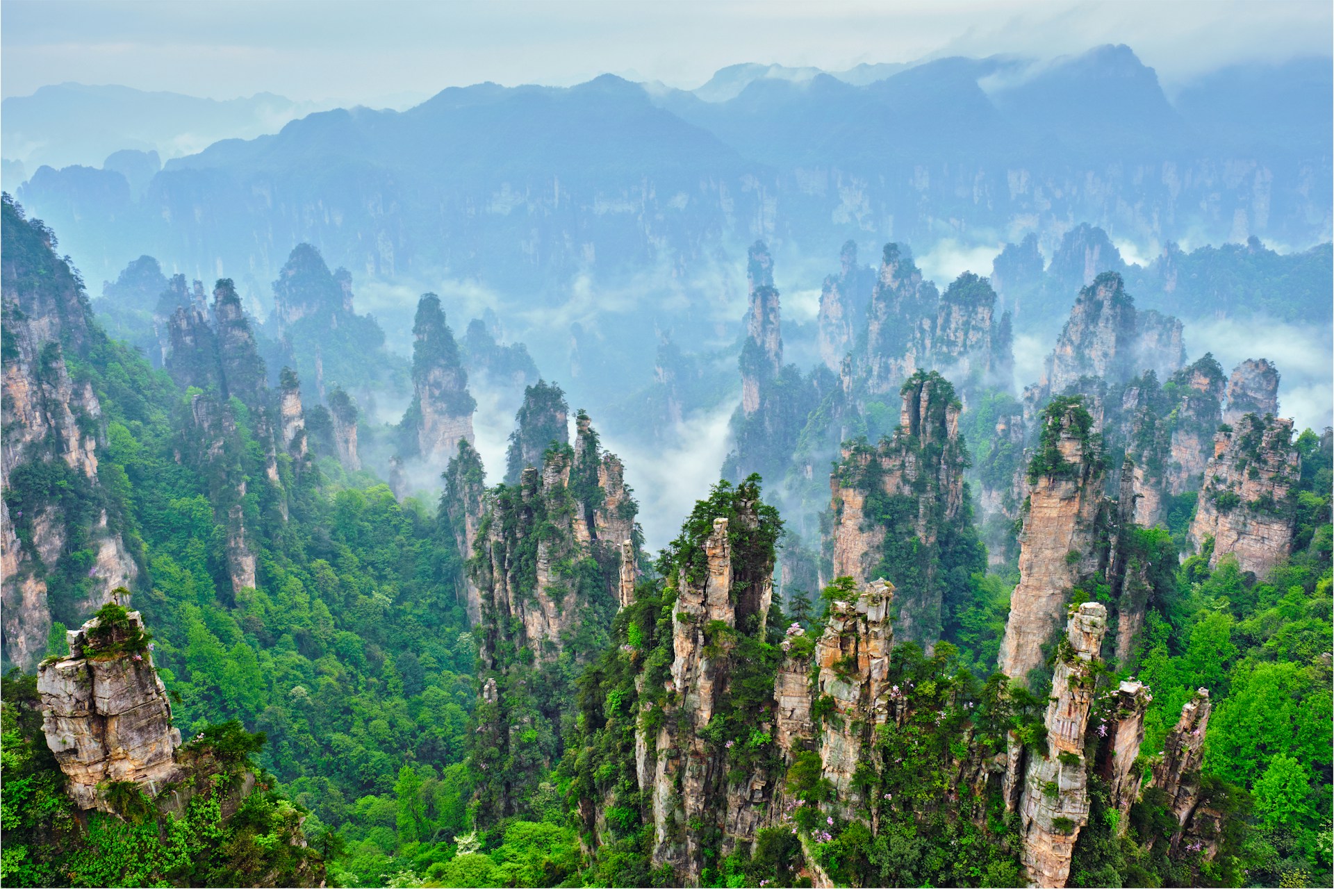 Fjellformasjoner i Zhangjiajie nasjonalpark i Kina