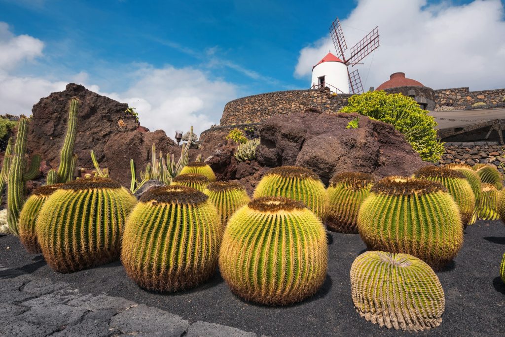25 fantastiske ting å gjøre på Lanzarote