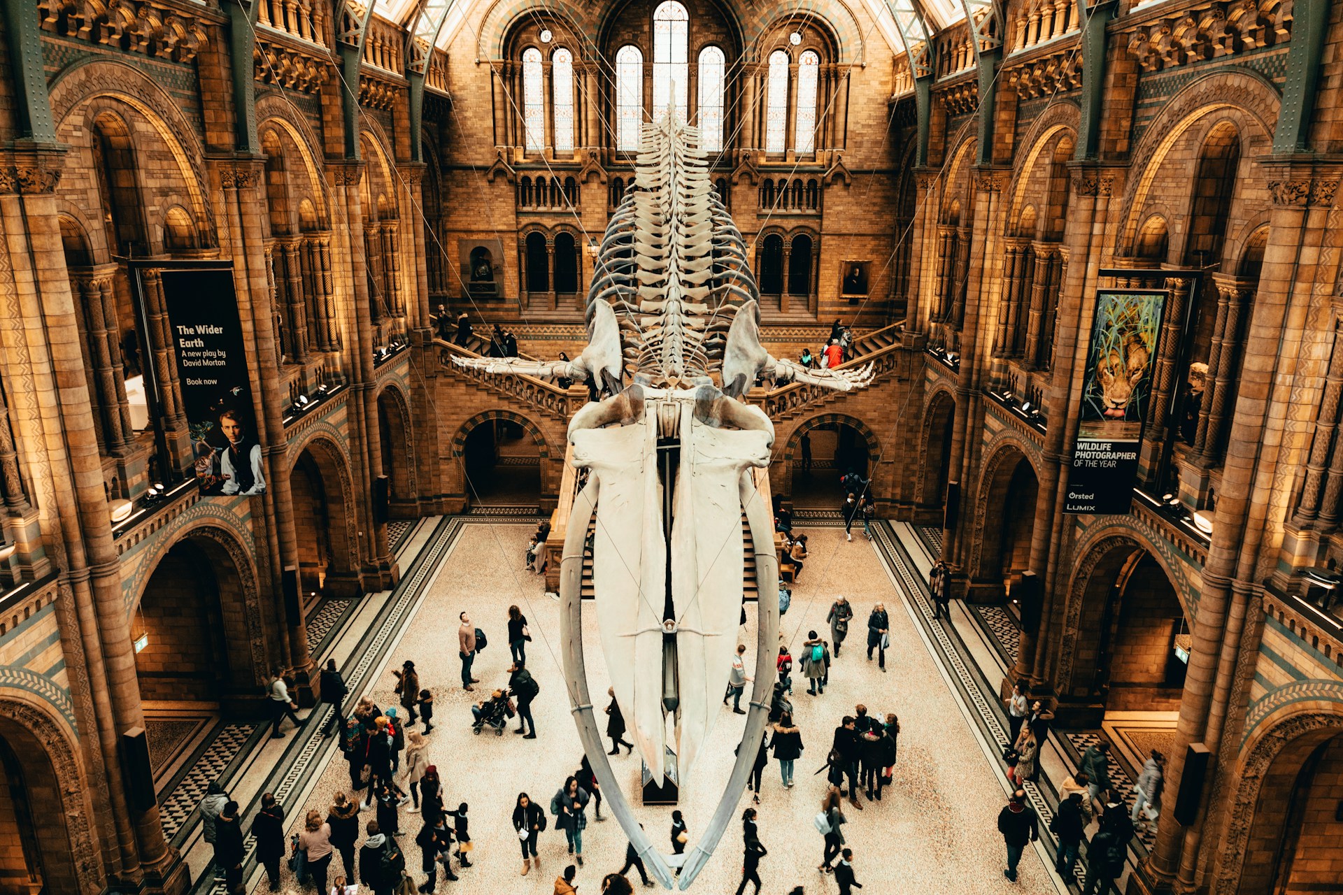 Natural History Museum i London