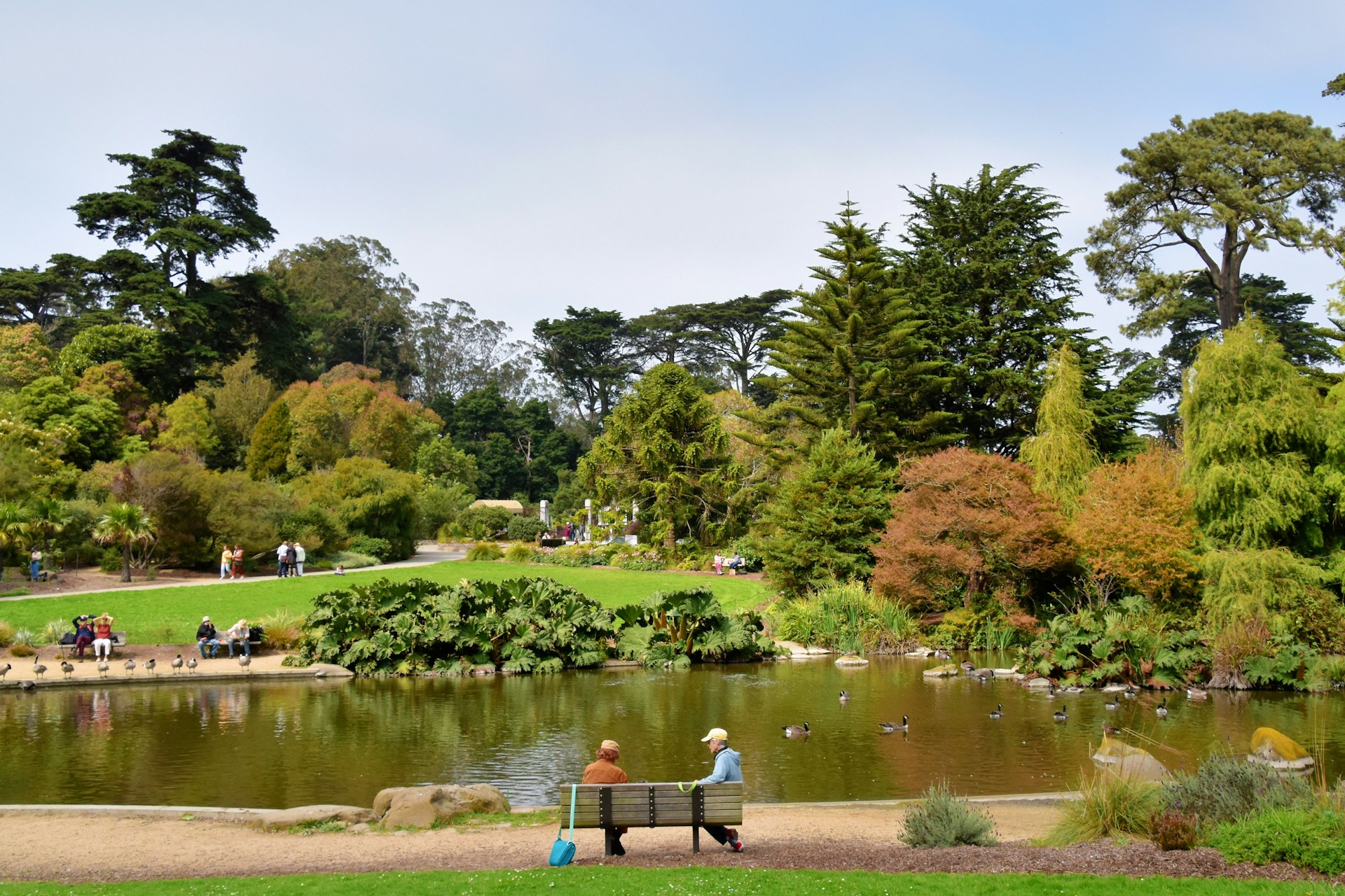 Reiseguide: Golden Gate Park – San Franciscos grønne oase full av opplevelser Golden Gate Park i San Francisco