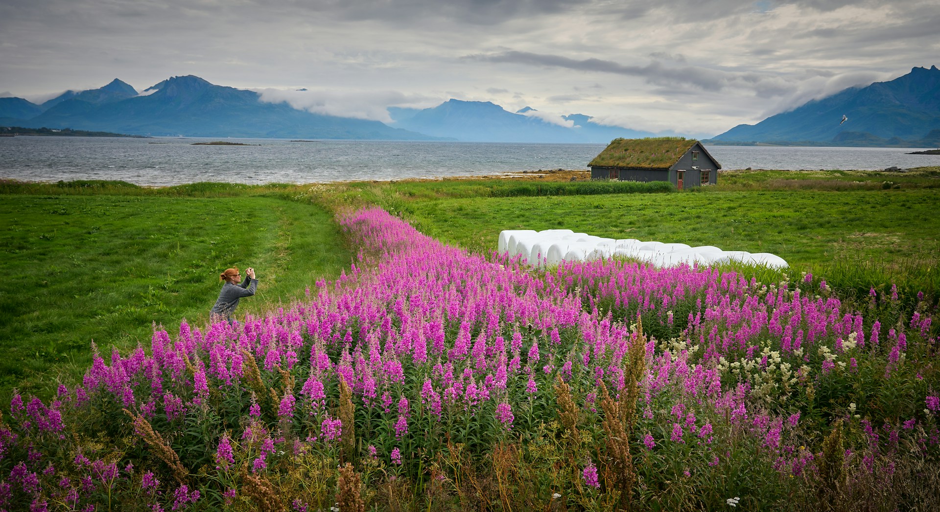 De beste tingene å gjøre i Vesterålen - ReiseKroken.no