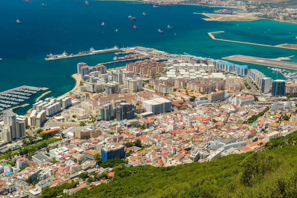 Dyrelivet i Gibraltar: fra ville aper til delfiner i sundet Dyrelivet i Gibraltar: fra ville aper til delfiner i sundet