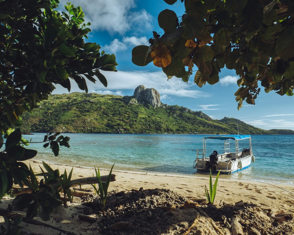 Farlige dyr på Fiji – hva du bør vite før reisen